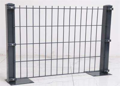 Cina 50mm*200mm 6/5/6 Tipo di buco Dimensione Twin Wire Mesh Fence uso giardino in vendita