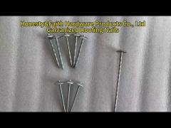 Galvanized Roofing Nails for Construction use