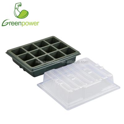 China Seeds Start 12 Cells Seed Germination Kit Plastic Seed Starter Tray Kit With Lid for sale