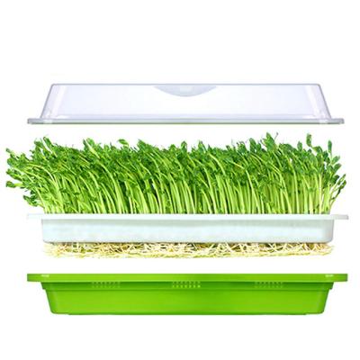 China Seed Sprout Cultivator BPA Free Soil Soilless Cultivator Bean Seed Sprouter Tray with Lid for sale