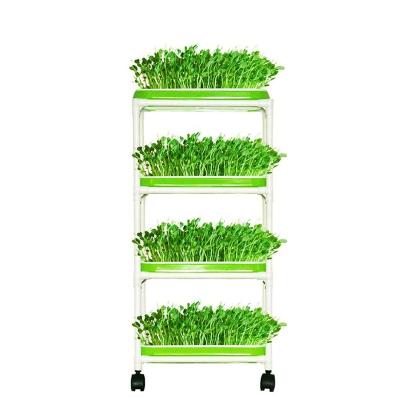 China Strong Seed Sprouter Trays with 4 Shelf Layers Soilless Healthy Wheatgrass Seeds Grower and Storage Trays for Garden Home for sale