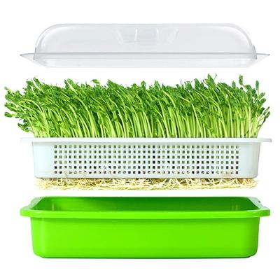 China Large Capacity Wheatgrass Soilless Hydroponic Seeding Sprouter Tray Healthy Seed Germination Cultivator With Lid Sprouting Kit for sale