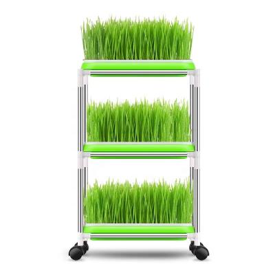 China Strong Seed Sprouter Trays with 4 Shelf Layers Soilless Healthy Wheatgrass Seeds Grower and Storage Trays for Garden Home for sale