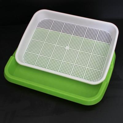 China Durable Plastic Hydroponic Seedling Tray Bean Sprouts Flat Tray for sale