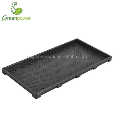 China Rice rectangle transplanted seedling germination rice seedling plastic tray for sale