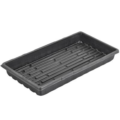 China Seed Planting Plant Growing Trays 550 x 285 - The Perfect Garden Seed Starter Grow Trays: For Seedlings for sale