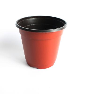 China 15cm / 150mm Soft And Flexible Plastic Seedling Starter Pot For Flower Transplanting for sale