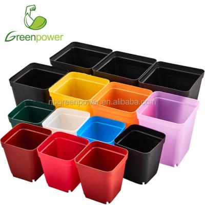 China Factory Cheap Small Pots Small Pot Nursery Square Colorful Square Basin Pot for sale