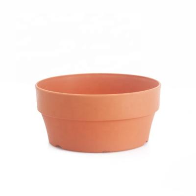 China Hard Cactus Pot Terracotta Succulent Flower Pots With Saucer for sale