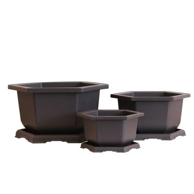 China Clay Flower Hard Hexagonal Purple Pot Plastic Bonsai Pot for sale