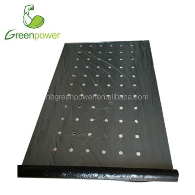 China Black Water Soluble And Silver Agricultural Mulch PE Film With Holes for sale