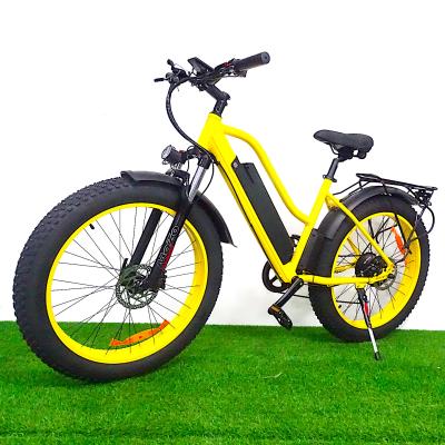 China 16Ah motor bafang motorcycle 1000w 48v aluminum alloy electric bicycle fat battery electric tire for sale