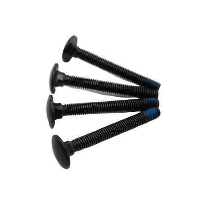 China Black Galvanized DIN603 M4 Steel Wire Flat Head Carriage Bolts With Blue Nylon Grade 8.8 Steel Bolts for sale