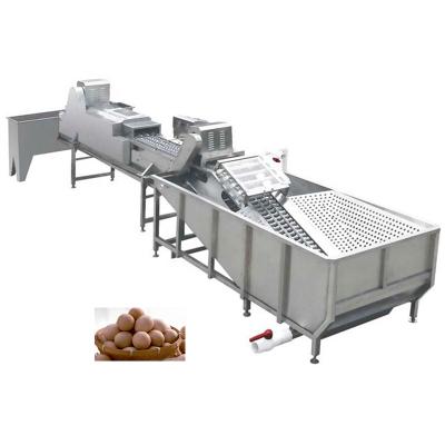 China Vegetable Processing Plant Low Consumption Egg Washing Machine With Stainless Steel Egg Cleaning Machine For Duck Egg for sale