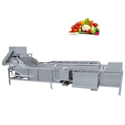 China High Effiency China Supplier Fruit Washer Elevator Vegetable And Fruit Washing Machine for sale