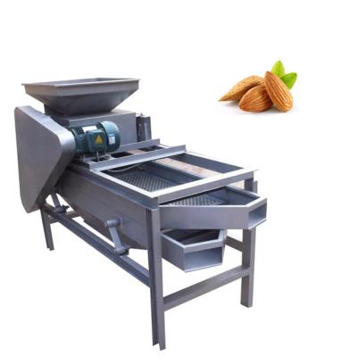 China High Effiency Hazelnut Shell Removing Machine Hazelnut Peeler Machine Hazelnut Cracking Machine for sale