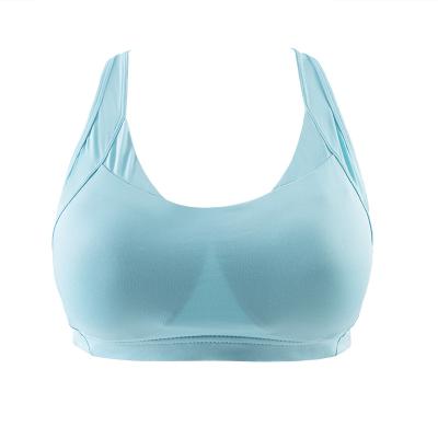 China Women's Soft Wireless Seamless Sexy Fitness Underbust Bra Breathable Running Sportswear Underwear Yoga Ladies Camisoles for sale