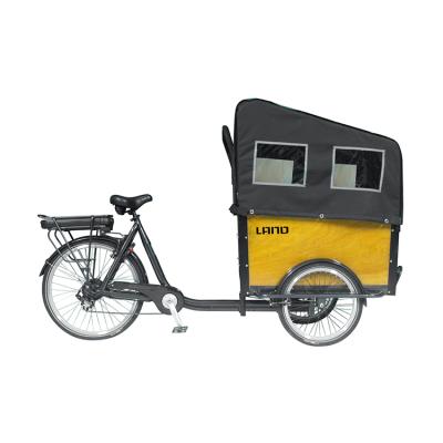 China New arrival steel lcd show electric bike cargo e-bike, electric cargo bicycle for sale