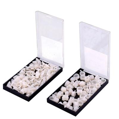 China Dental Art Dental Temporary Oral Posterior Resin Dental Materials Materials Anterior Teeth Crown Newest Resin Tooth Fashion Oral Supplies for sale