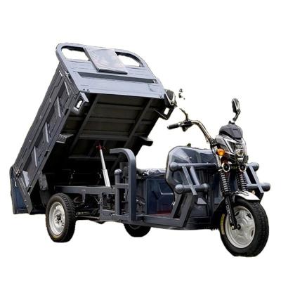 China 60V100Ah Lithium Ion Battery Multifunctional Electric Cargo Tricycle for Adults 801-1000W for sale