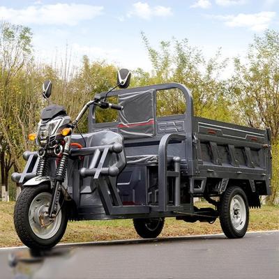 China 2 Passenger Electric Cargo Tricycles with Cargo Box 60V 1000W DC Motor and Performance for sale