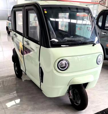 China Front Drum Rear Drum Brake System 500w Electric Tricycle for Adults Cargo Transportation and Two Seats for sale