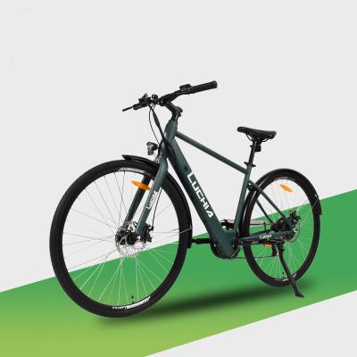 China Electric City Bike 48v/36v Electric Bicycle with Motor Power 250W/350W/500W/750W/1000W for sale