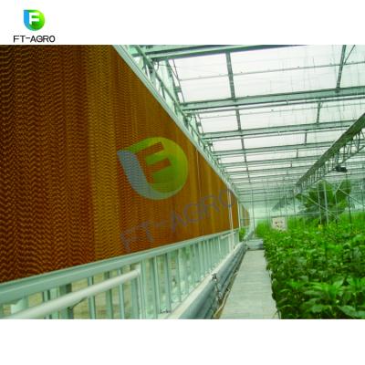 China Factory non-toxic high quality wet curtain air cooling evaporative pad for greenhouse for sale