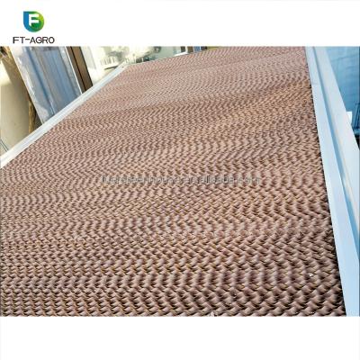 China Long Service Life Cooling Pad For Greenhouse Temperature Control Wet Curtain for sale