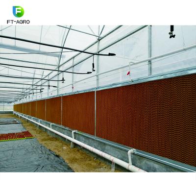 China Long Service Life Us Curtain Temperature Control For Greenhouse Long Service Life for sale