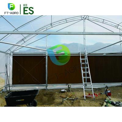 China 10m Hydroponic Growing * 100m Hemp Greenhouse Light Deprivation Greenhouse Sold In Thailand for sale