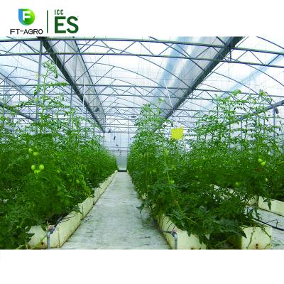 China Multi Span Agricultural High Quality Greenhouses Easily Assembled Hydroponic Seed Grow for sale