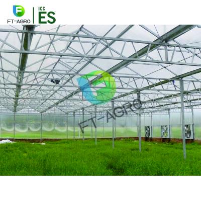 China Easily Assembled Factory Price Large Multi-Span PC Sheet Agricultural Greenhouse For Sale for sale