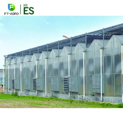 China Vegetable Fruit Flowers 8mm PC Hollow Leaf Greenhouse Turnkey Design For Vegetable Planting for sale