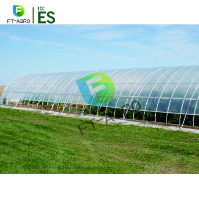 China Cheap Flower Price 10X50m Tunnel Greenhouse PO Film For Cucumber for sale