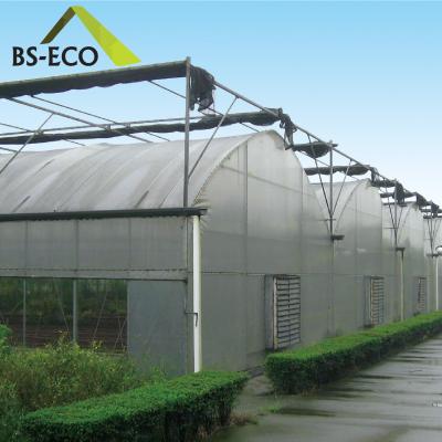 China Easily Assembled Multi Span With Hydroponic Systems Agricultural Greenhouse For Plant And Vegetables for sale