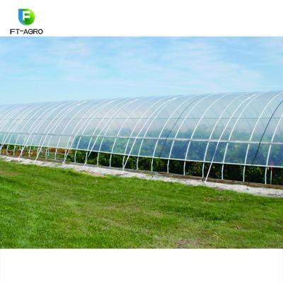 China Easily Assembled Large Multi Span Green House Agriculture With Hydroponics Grow Systems for sale