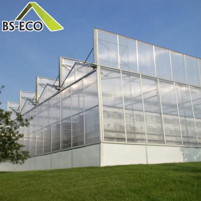 China Easily Assembled Venlo Type Multi Span PC Sheet Greenhouse For Vegetable Growing for sale