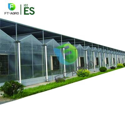 China Vegetable Fruits Flowers Agriculture Multi-span PC Sheet Greenhouse 8mm Thickness Tarpaulin for sale