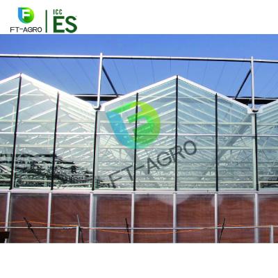 China China Supplier Easily Assembled Advanced Glass Greenhouse For Vegetable And Flower Gardening for sale