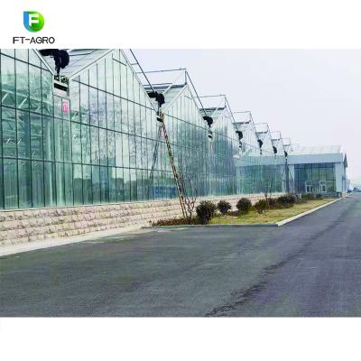 China Commercial Tomato Tomato Planting Glass Greenhouse Used For Sale Applied To Tall Growing for sale