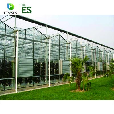 China Vegetable Fruit Flowers Tempered Glass Greenhouse Reinforce Structure Hot Dip Galvanized Steel for sale