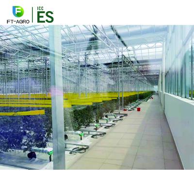 China Stable Structure Manufacture Glass Greenhouse for sale