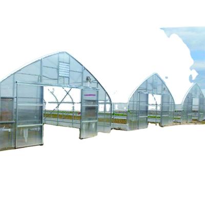 China Stable Structure Easily Assembled Agricultural Single Span Film Greenhouse for sale