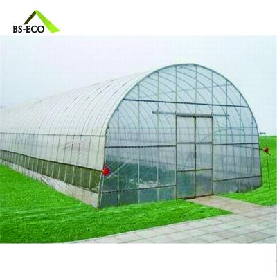 China Stable Structure Easily Assembled High Quality Single Span Plastic Tunnel Greenhouse For Agriculture for sale