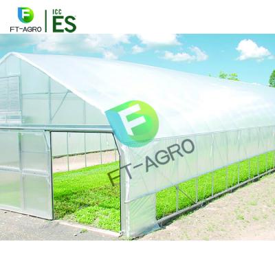 China Stable Structure Easily Assembled Low Price Single Span Film Cover Greenhouse for sale