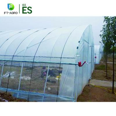 China Stable Structure Easily Assembled Hot Sale Agriculture Productive Multi-span Greenhouses for sale