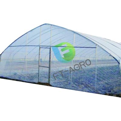 China Stable Structure Easily Assembled Single Span 2021 Greenhouse for sale