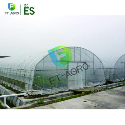 China 10x50m Flower Tunnel Greenhouse PO Film Anti - Ultraviolet Strong Tension for sale