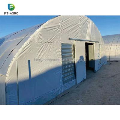 China Stable Structure Easily Assembled Grass Production Greenhouse for sale